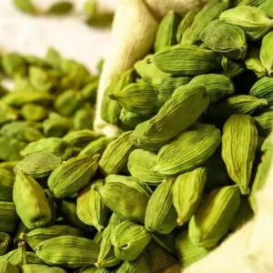 Cardamom